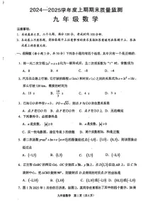 河南省周口市川汇区2024-2025学年九年级上学期末数学试题