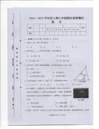 河南省驻马店上蔡县2024-2025学年 上学期八年级期末素质测试数学试卷