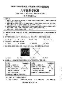 湖北省襄阳市枣阳市2024-2025学年八年级上学期1月期末考试数学试题