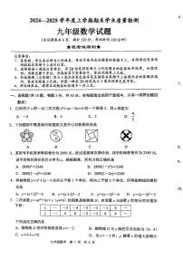 湖北省襄阳市枣阳市2024-2025学年九年级上学期1月期末数学试题