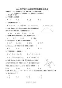 湖南省衡阳市衡阳市四校2024-2025学年八年级上学期1月期末数学试题