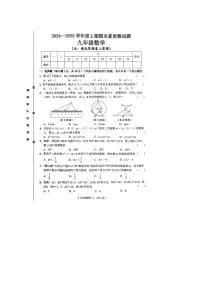 河南省驻马店市泌阳县2024-2025学年九年级上学期期末数学试题