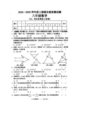 河南省驻马店市汝南县2024-2025学年八年级上学期1月期末考试数学试题