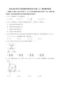 江苏省南京联合体2024-2025学年上学期九年级数学期末试题+答案