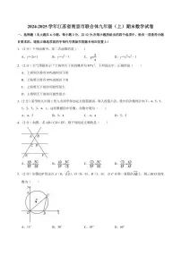江苏省南京联合体2024-2025学年上学期九年级数学期末试题+答案