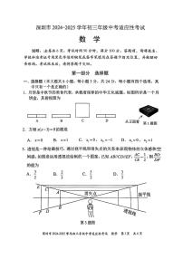 2024-2025年广东省深圳市初三适应性考试   数学期末考试试卷（原卷+参考答案）