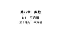 初中数学人教版（2024）七年级下册（2024）8.1 平方根作业课件ppt