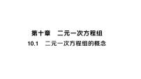 数学人教版（2024）10.1 二元一次方程组的概念作业课件ppt