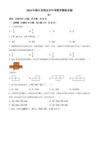 2024年浙江省丽水市中考数学模拟试题（原卷版）