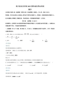 2024年四川省自贡市中考数学模拟试题（解析版）