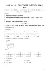 2024年四川省内江市中考数学模拟试题（原卷版）