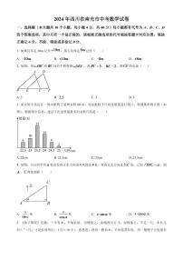 2024年四川省南充市中考数学模拟试题（原卷版）