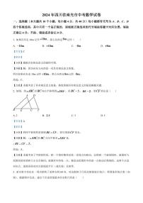 2024年四川省南充市中考数学模拟试题（解析版）