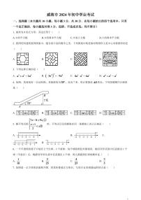 2024年山东省威海市中考数学模拟试题（原卷版）