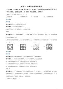 2024年山东省威海市中考数学模拟试题（解析版）