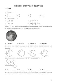 2024年山东省泰安市中考数学模拟试题（原卷版）