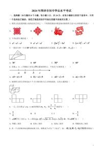 2024年山东省菏泽市中考数学模拟试题（原卷版）