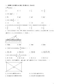 2024年湖南省株洲市中考数学模拟试题（原卷版）