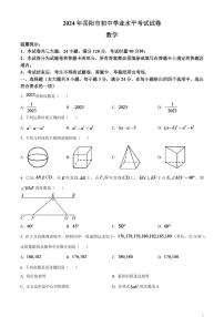 2024年湖南省岳阳市中考数学模拟试题（原卷版）