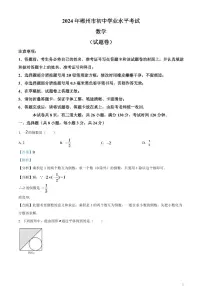 2024年湖南省郴州市中考数学模拟试题（解析版）