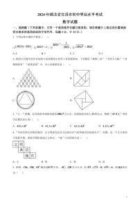 2024年湖北省宜昌市中考数学模拟试题（原卷版）