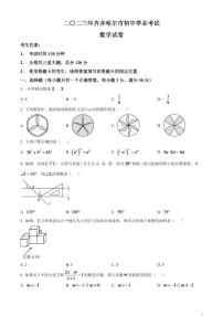 2024年黑龙江省齐齐哈尔市中考数学模拟试题（原卷版）