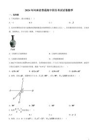 2024年河南省中考数学模拟试题（原卷版）