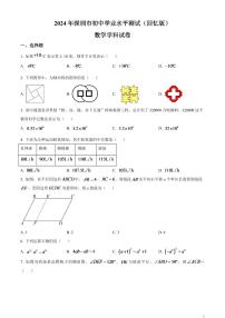 2024年广东省深圳市中考数学模拟试题 （原卷版）