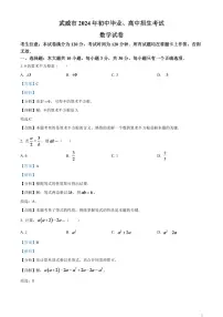 2024年甘肃省武威市中考数学模拟试题（解析版）