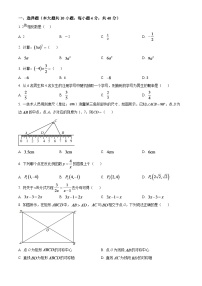 2024年湖南省株洲市中考数学模拟试题（原卷版）