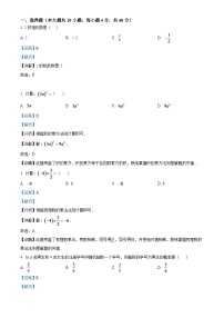 2024年湖南省株洲市中考数学模拟试题（解析版）