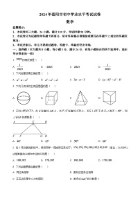 2024年湖南省岳阳市中考数学模拟试题（原卷版）