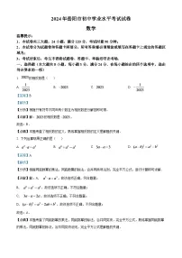 2024年湖南省岳阳市中考数学模拟试题（解析版）