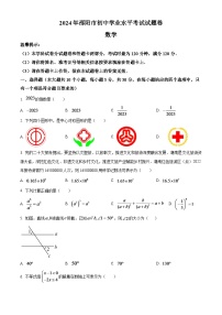 2024年湖南省邵阳市中考数学模拟试题（原卷版）