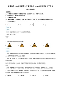 2024年新疆维吾尔族自治区中考数学模拟试题 （解析版）