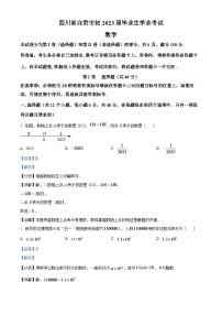 2024年四川省自贡市中考数学模拟试题（解析版）