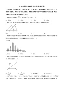 2024年四川省南充市中考数学模拟试题（原卷版）