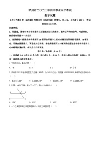 2024年四川省泸州市中考数学模拟试题（原卷版）