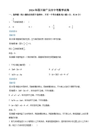 2024年四川省广元市中考数学模拟试题（解析版）