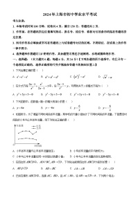 2024年上海市中考数学模拟试题（原卷版）