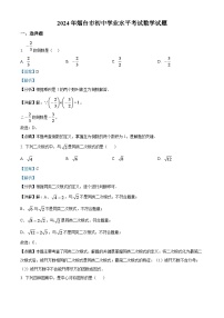 2024年山东省烟台市中考数学模拟试题（解析版）