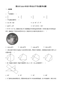 2024年山东省泰安市中考数学模拟试题（原卷版）