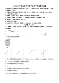 2024年山东省聊城市中考数学模拟试题（原卷版）