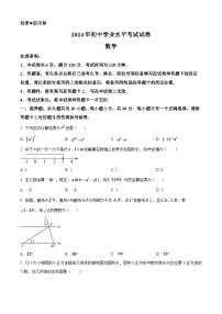 2024年内蒙古包头市中考数学模拟试题（原卷版）