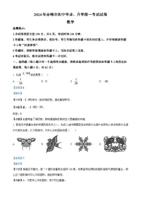 2024年内蒙古赤峰市中考数学模拟试题（解析版）