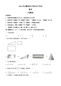 2024年安徽中考数学模拟试题（原卷版）