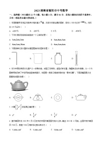 2024年湖南省衡阳市中考数学模拟试题（原卷版）