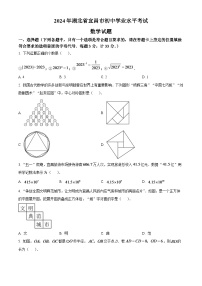 2024年湖北省宜昌市中考数学模拟试题（原卷版）