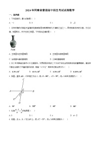 2024年河南省中考数学模拟试题（原卷版）