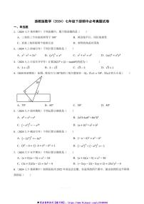 浙教版数学(2024)七年级下册期中必考真题试卷(含答案)